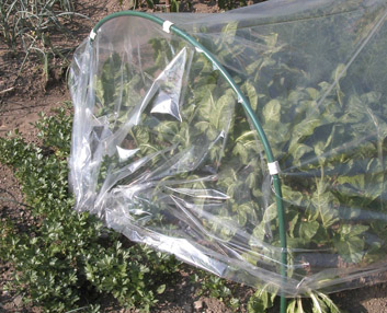 Un kit para crear un pequeño invernadero