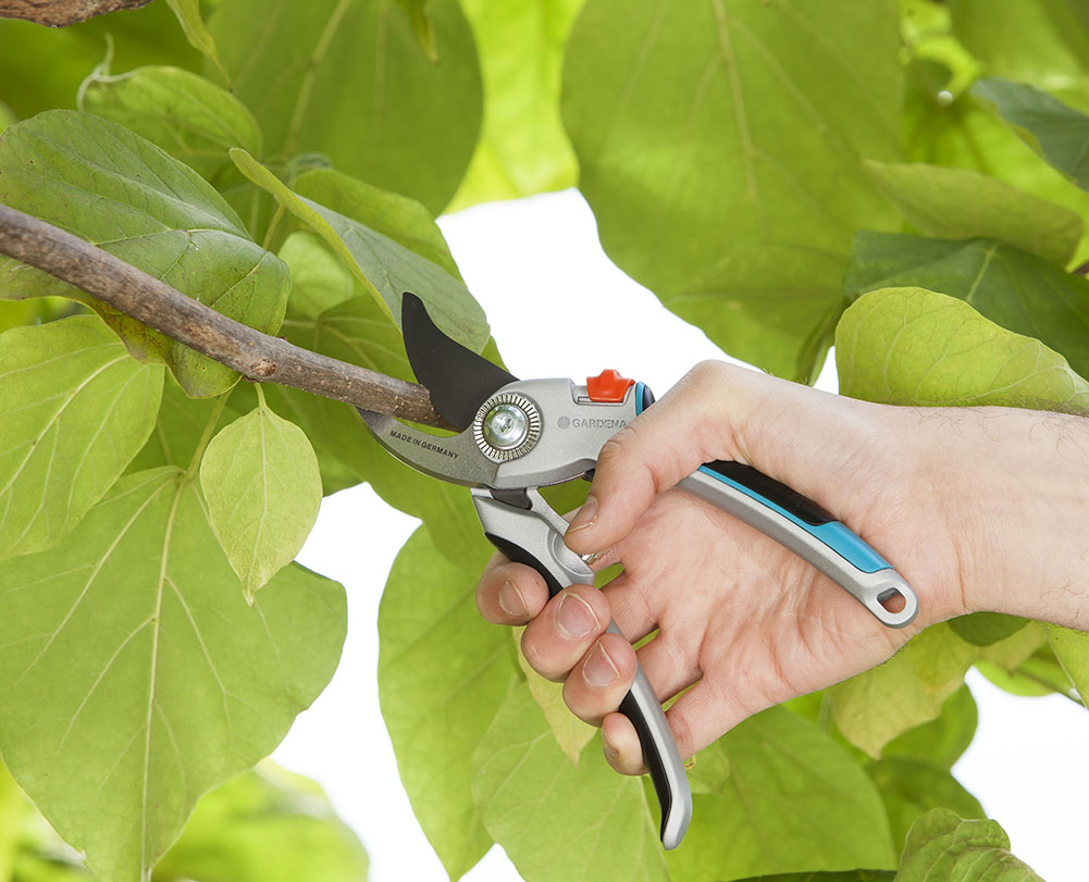 Tijeras de poda más ergonómicas, fáciles de usar y duraderas