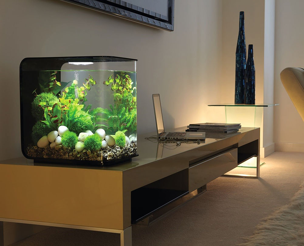 Un acuario decorativo de acrílico + leds