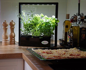 Un sistema de cultivo con luz de leds 