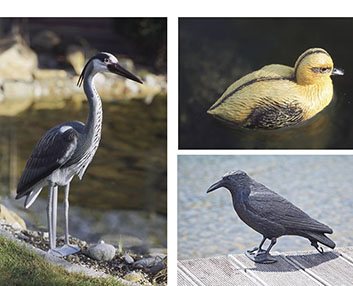 Aves decorativas para el estanque