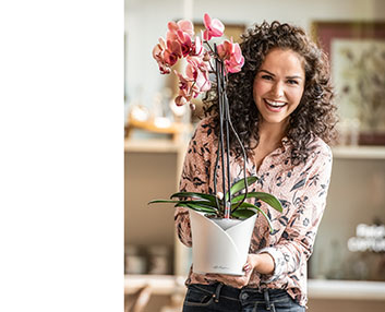 Una maceta especial para cultivar orquídeas 