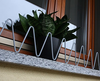 Para evitar la caída de las macetas desde las ventanas