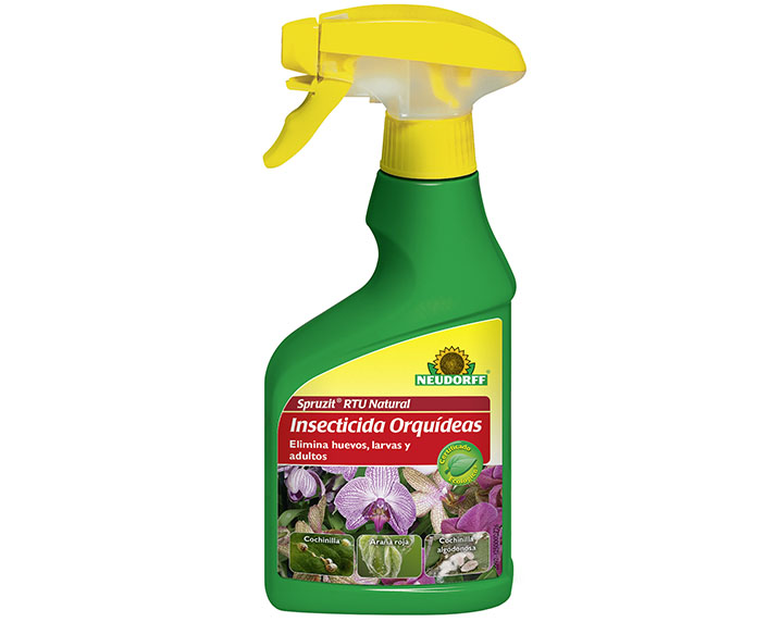 Un insecticida natural especial para orquídeas 