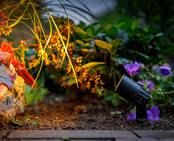 Focos con cabeza orientable para iluminar las plantas 