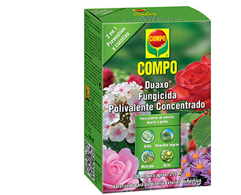 Un fungicida sistémico para prevenir y curar 