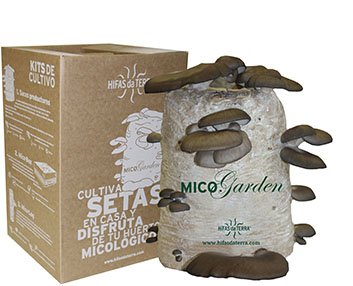 Un saco para cultivar setas en casa