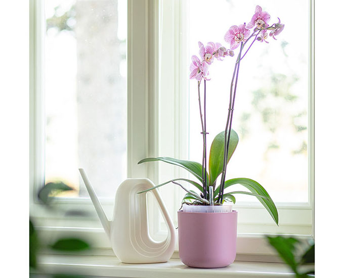Macetas con autorriego para plantas de interior y aromáticas 