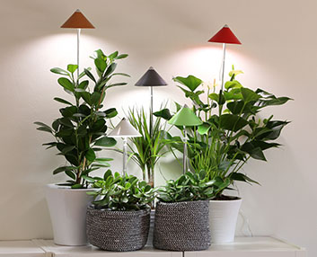 Luz de leds con soporte telescópico para las plantas 