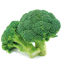 Brócoli