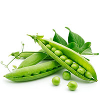 Guisantes
