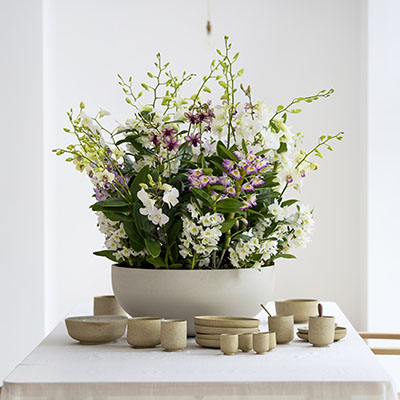 Un impactante tiesto de dendrobiums