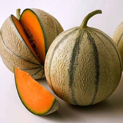 Melón ‘Cantaloup’ 
