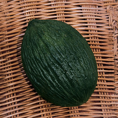 Melón ‘Tendral’