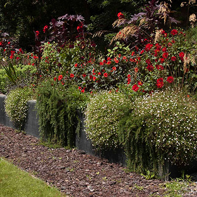 Jardín Rojo