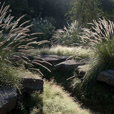 Jardín Blanco