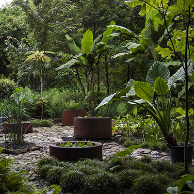 Jardín de Hojas Grandes