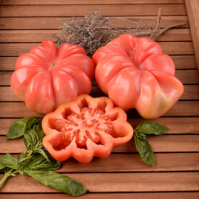 Tomate Montserrat