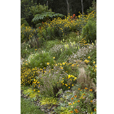 Una rica e imaginativa combinación de plantas