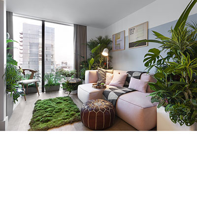 Tranquil Suite