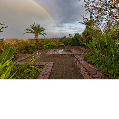 El corazón del jardín