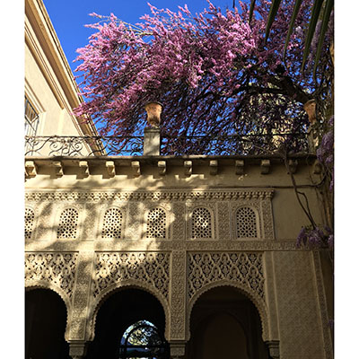Árbol del amor