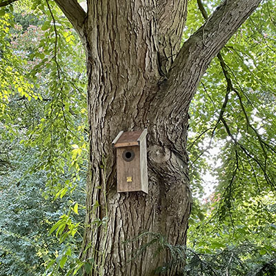 Cajas nido para los pájaros