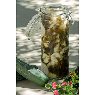 Encurtido de pepino y lechuga de mar con Aptenia cordifolia en vinagre de arroz 