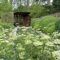 Ocho medallas de oro en el Chelsea Flower Show