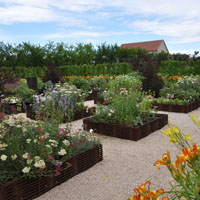 El Huerto de las flores comestibles
