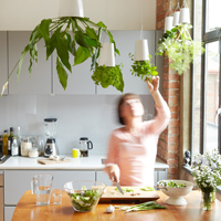 Plantas colgantes