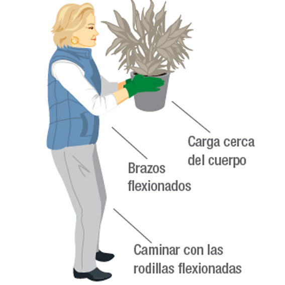 Transportar carga