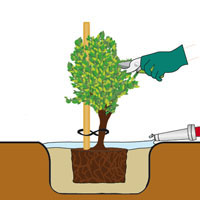 Paso 4: Operaciones finales