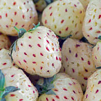 Fresas con sabor a piña