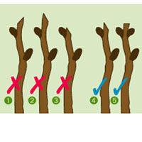 Herramientas y cortes