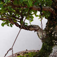 Al cabo del tiempo