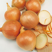 Cebolla ‘Babosa’ 
