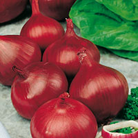 Cebolla ‘Roja de Zalla’ 