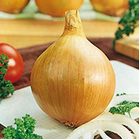 Cebolla ‘Dulce de Fuentes’