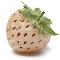 Fresas blancas con pepitas rojas