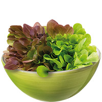 Bicolor