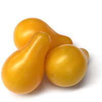 Tomate ‘Cherry Bombilla’
