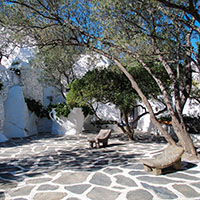 Poda para árbol de sombra