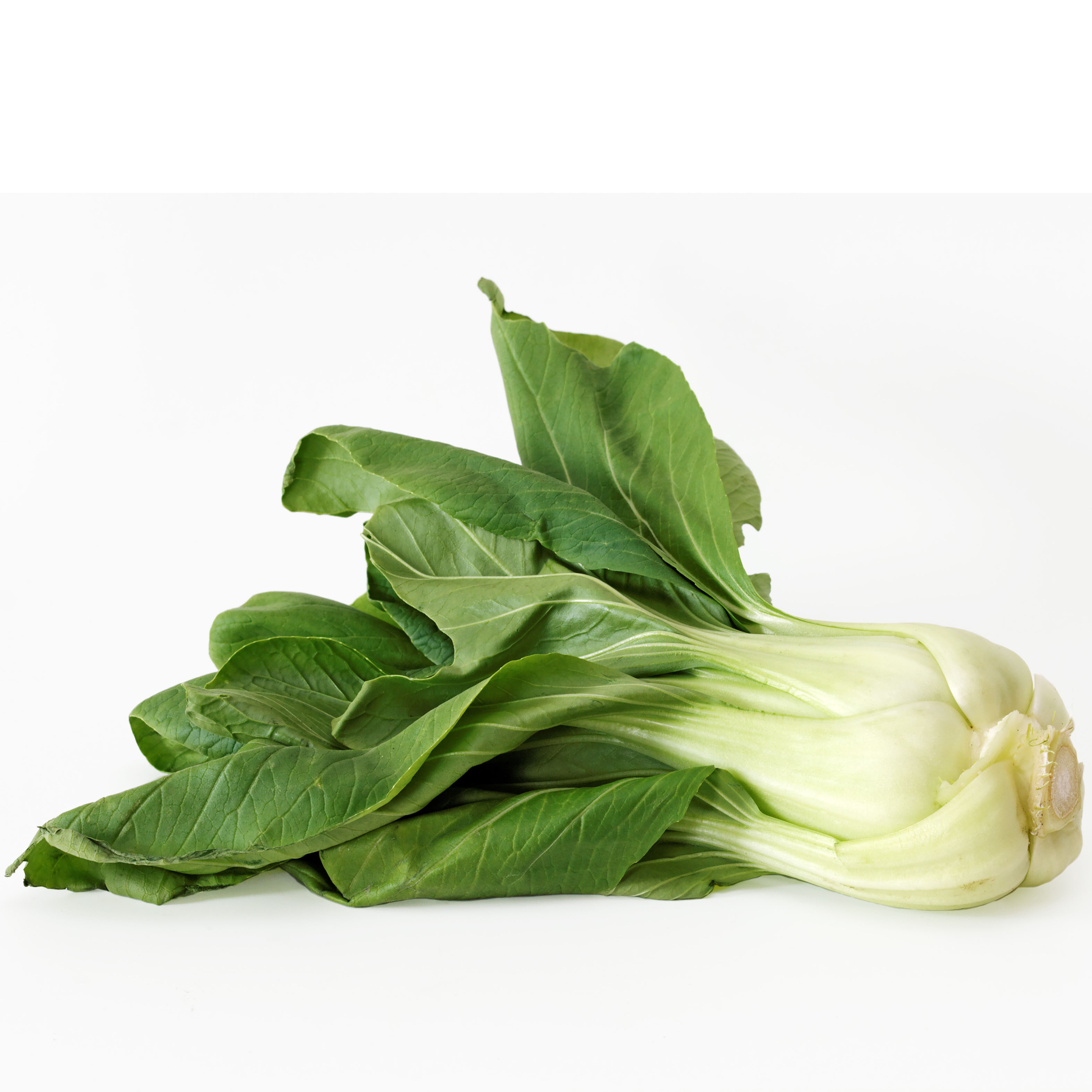 Pak choi