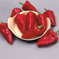 Piquillo