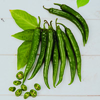 Guindilla vasca